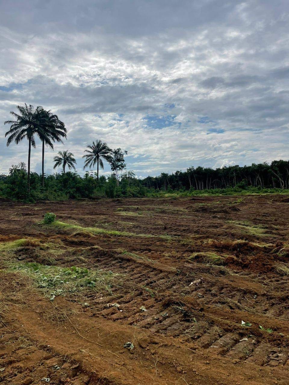 2e99a6f7-b396-422b-8eb4-8bbaf0a69ec1