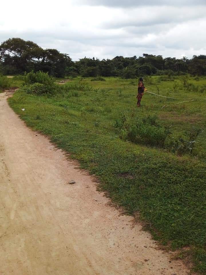 FB_IMG_1669500179733