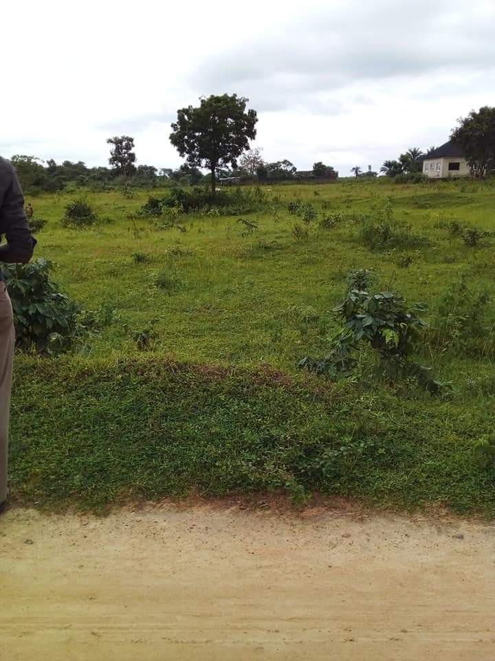 FB_IMG_1669500191382