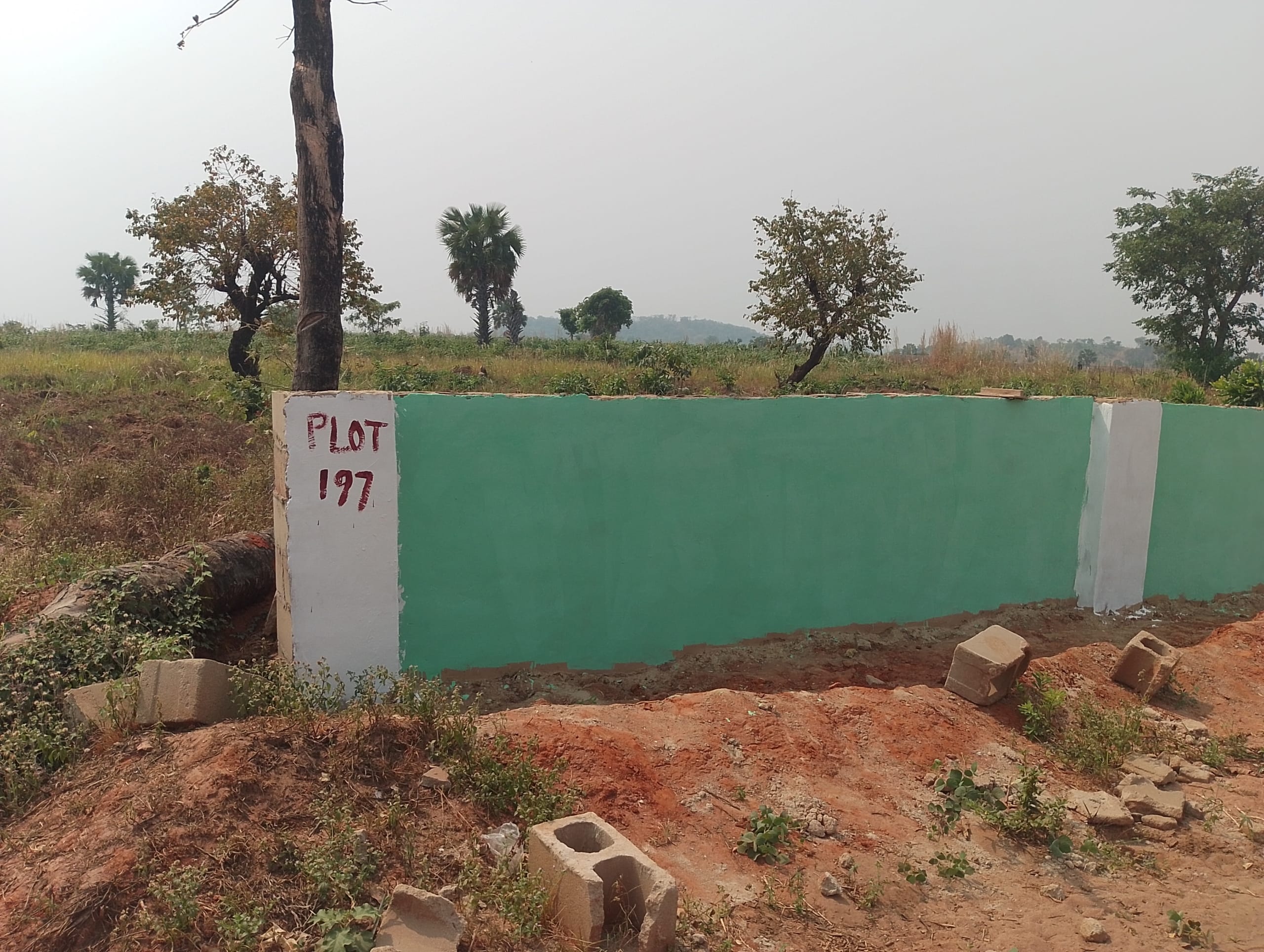 IMG_20250114_135215_1