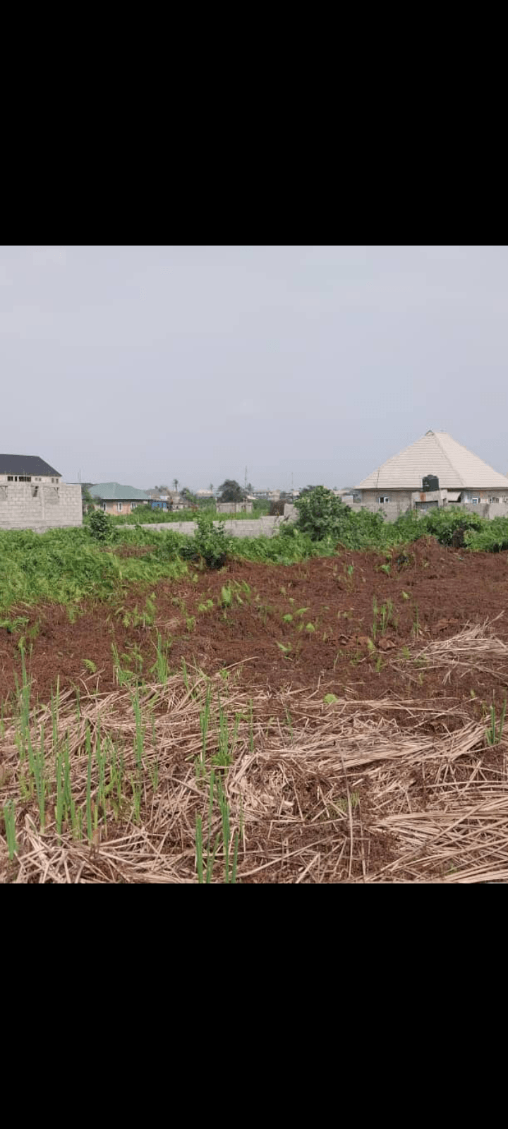 Screenshot_20250128-090438