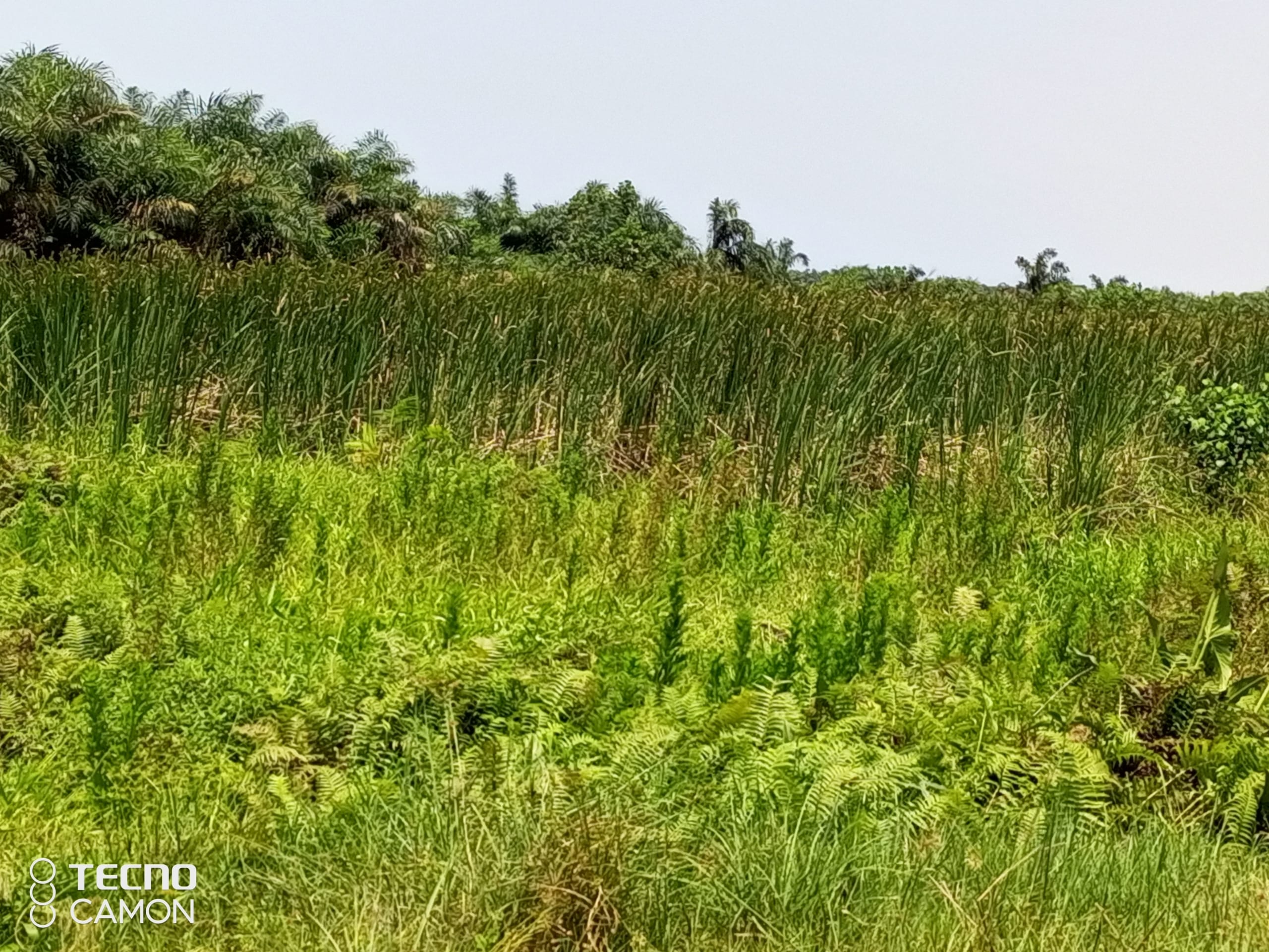 IMG_20240327_121005_891