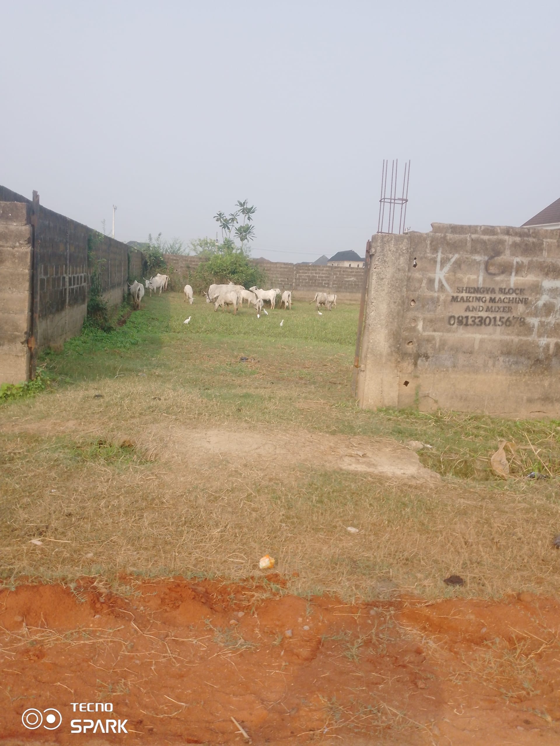 IMG_20250203_090755_633