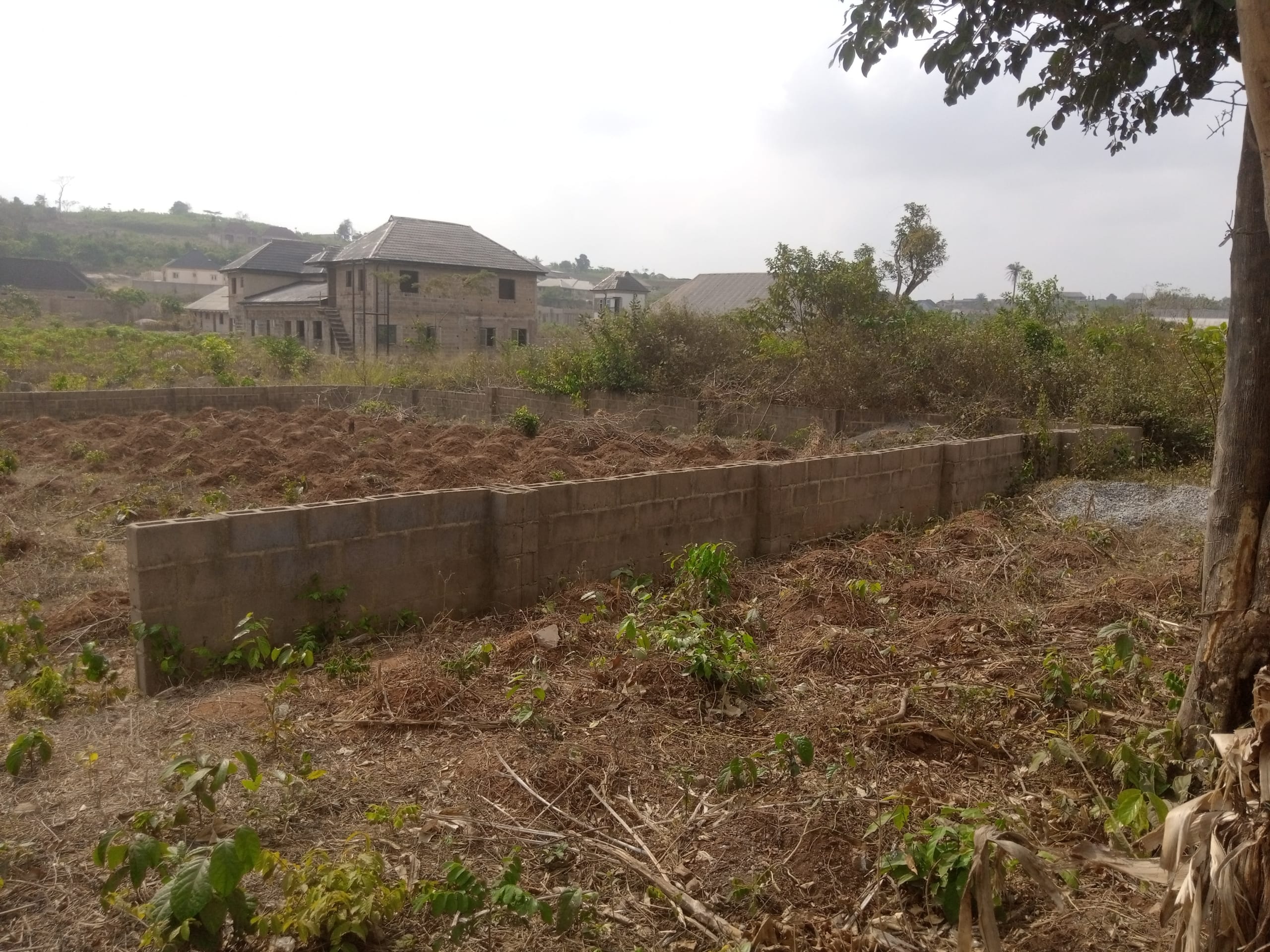 IMG_20250220_100912_231