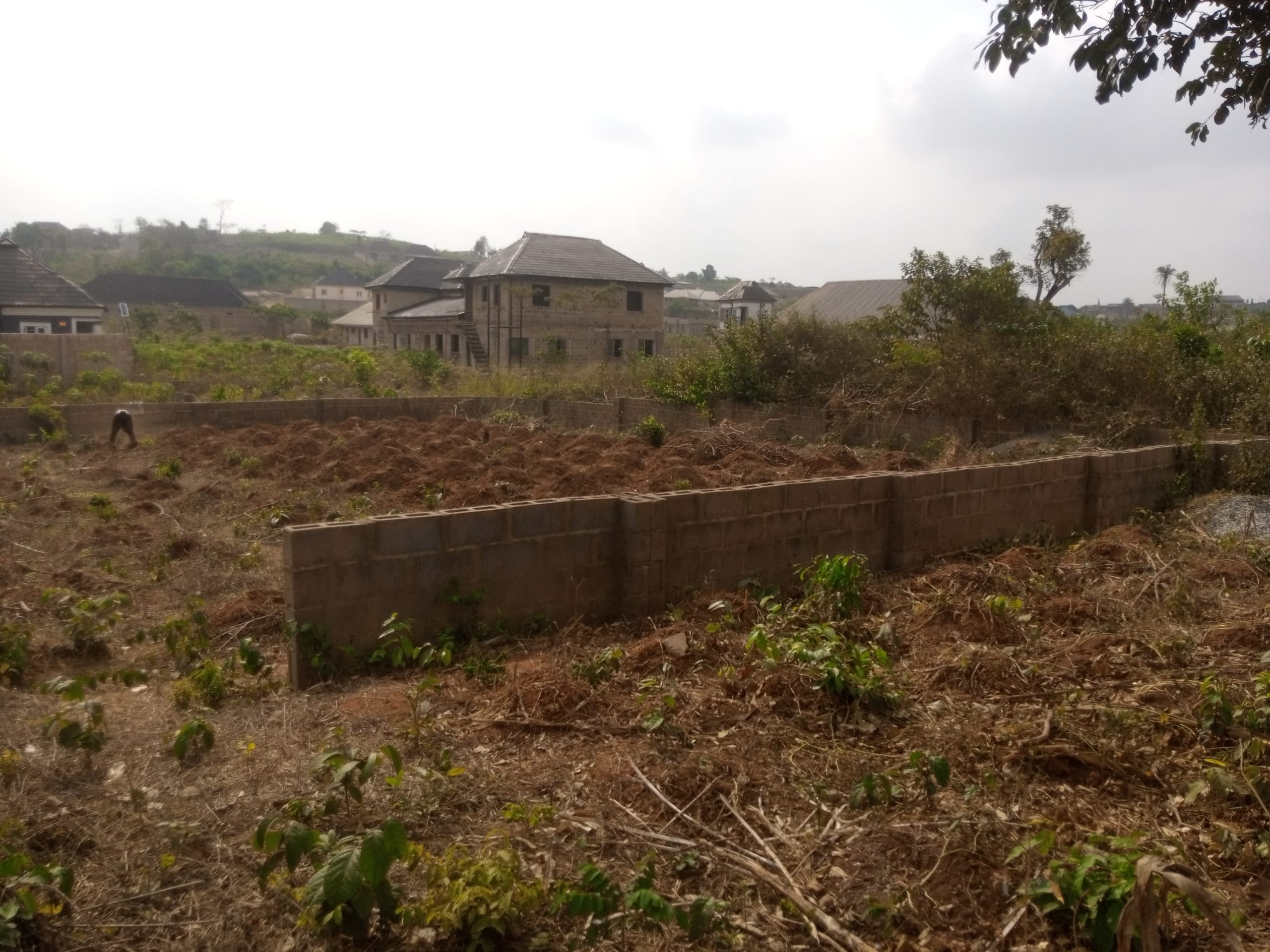 IMG_20250220_100914_645