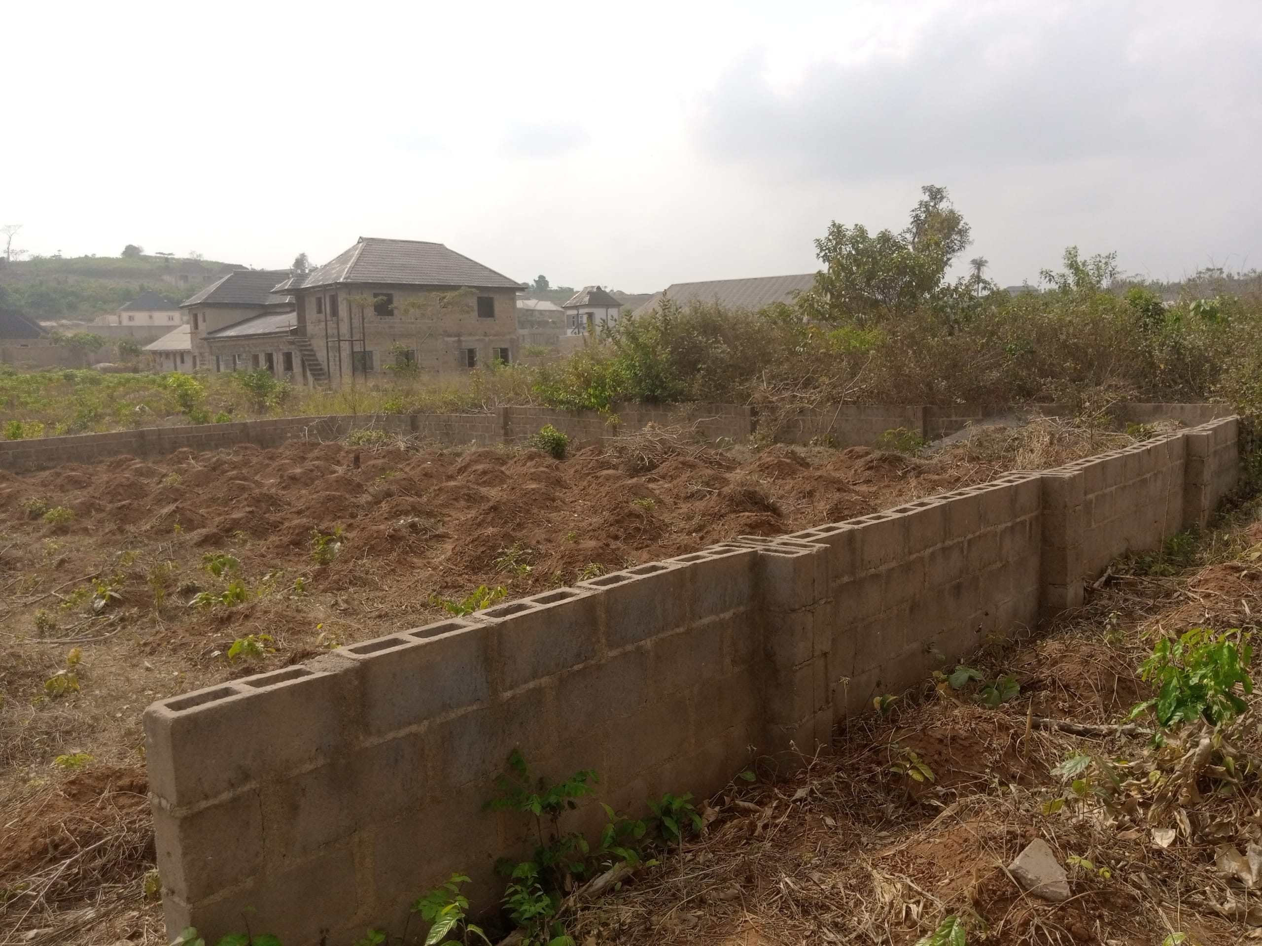 IMG_20250220_100934_094