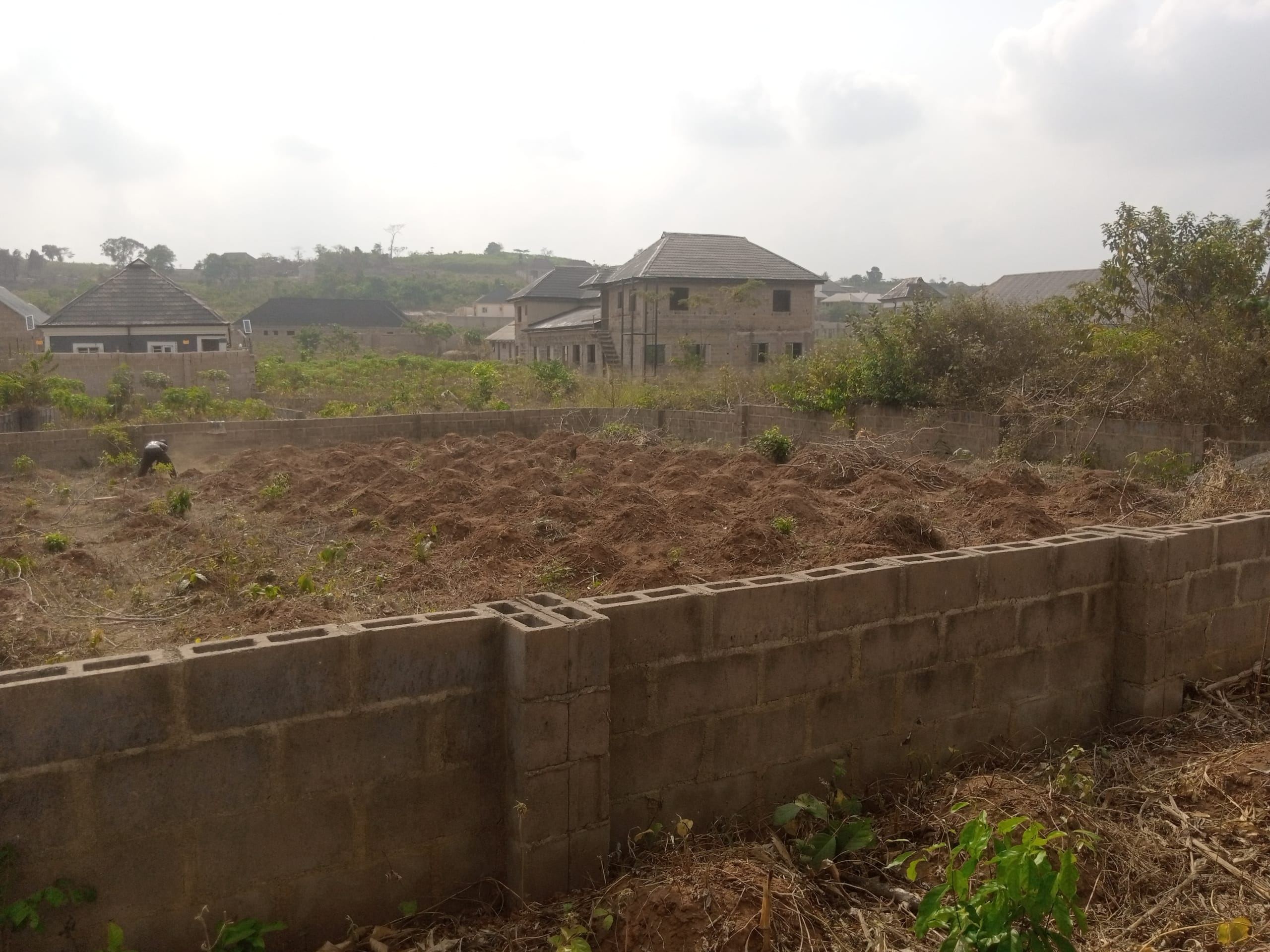 IMG_20250220_100955_970