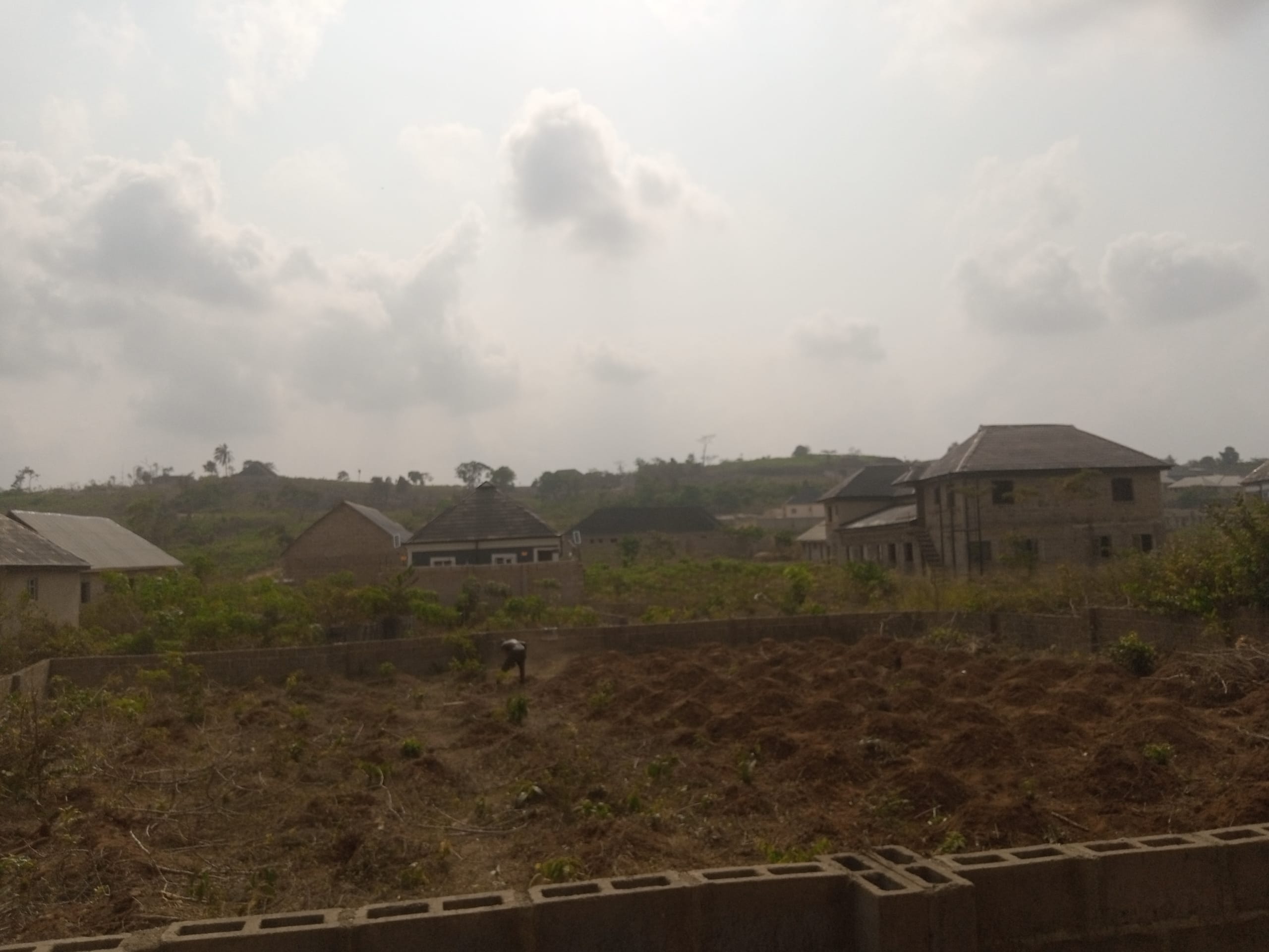 IMG_20250220_101001_194