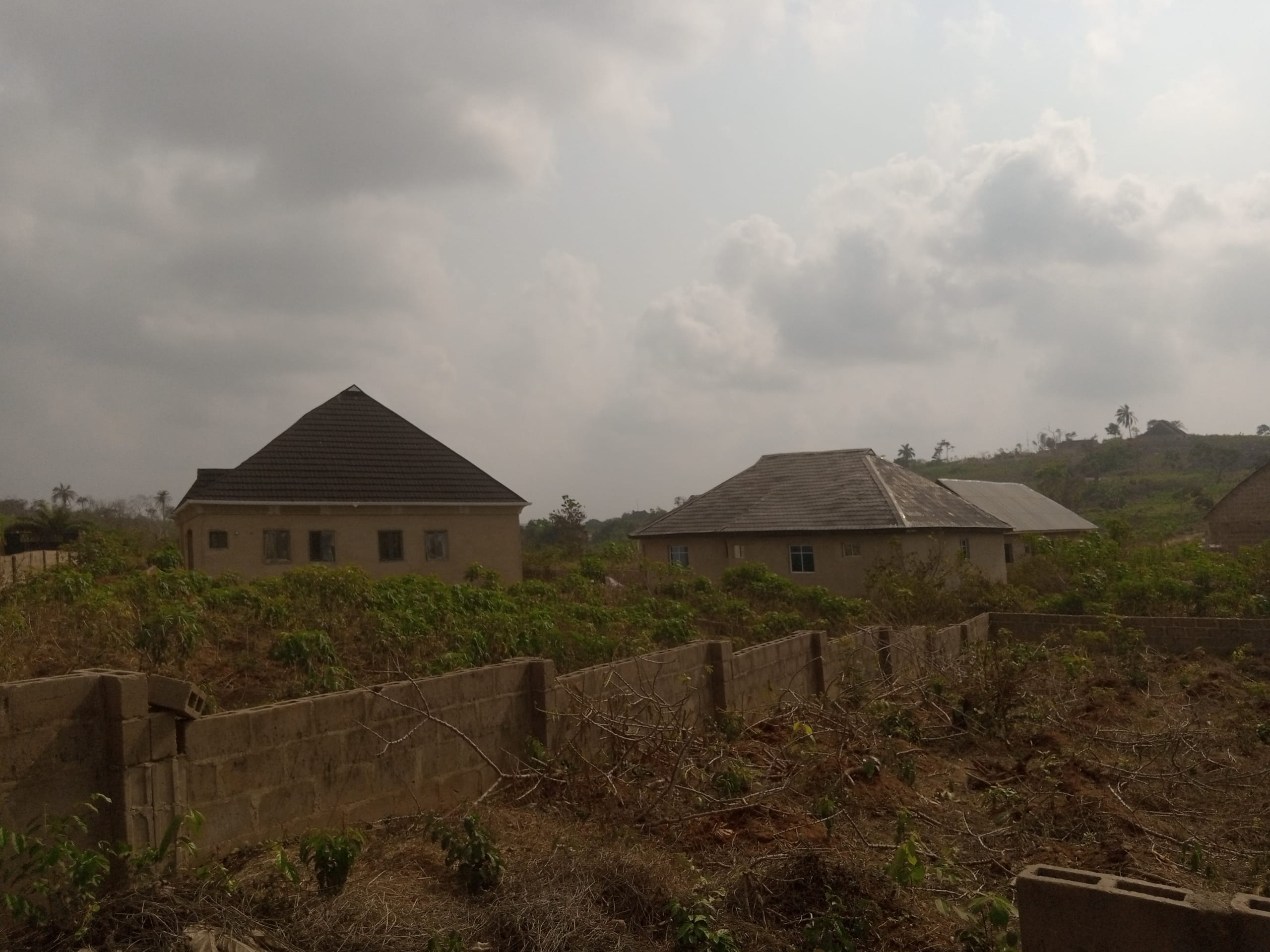 IMG_20250220_101002_239