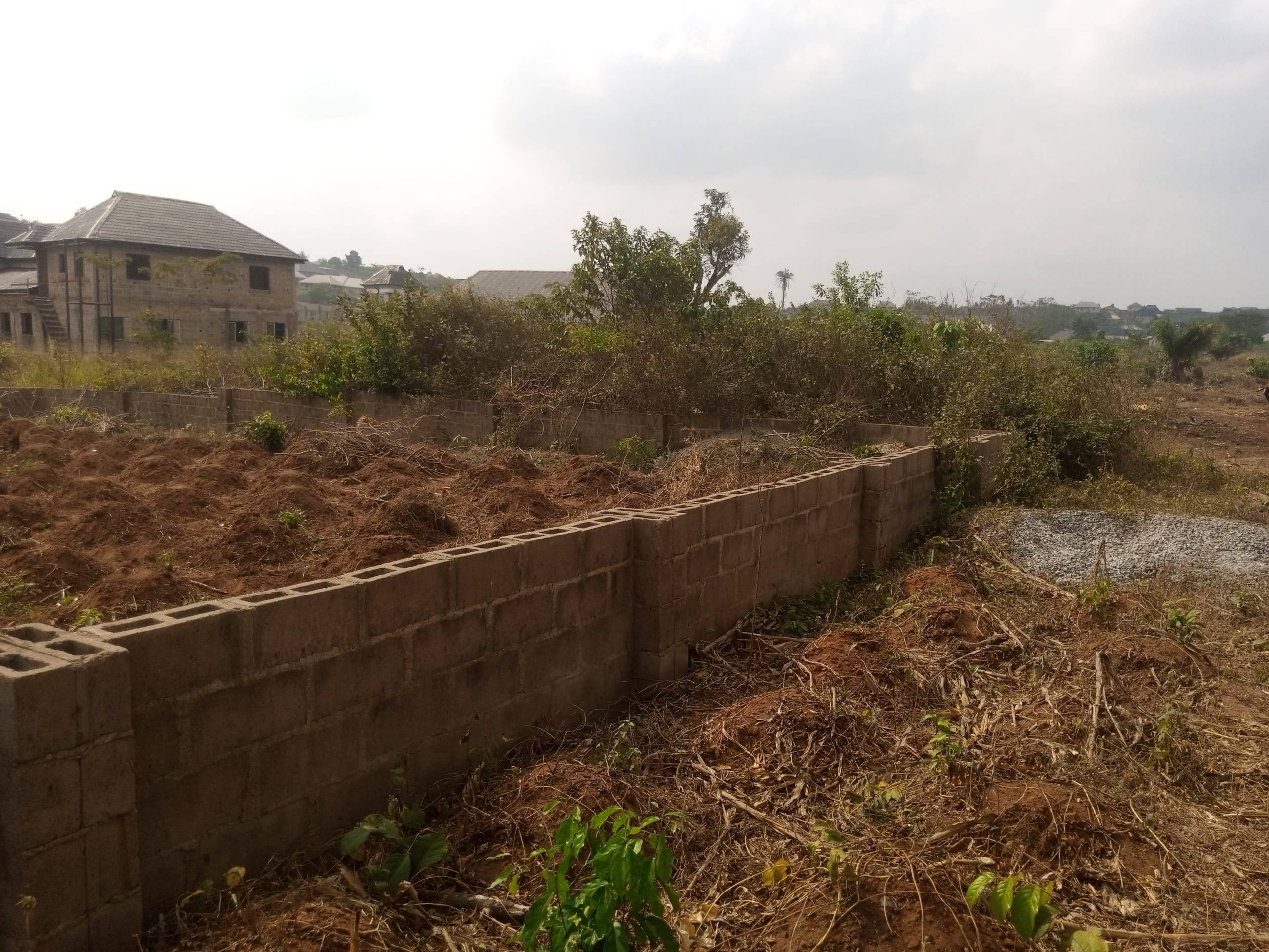 IMG_20250220_101009_051