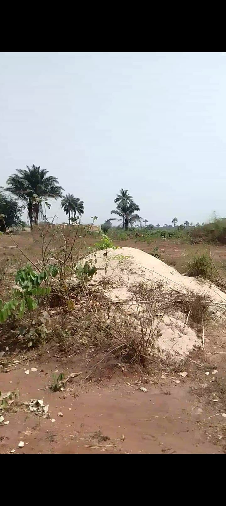 Screenshot_20250225-170406