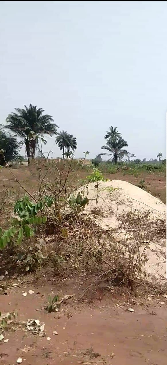 Screenshot_20250225-170417_1