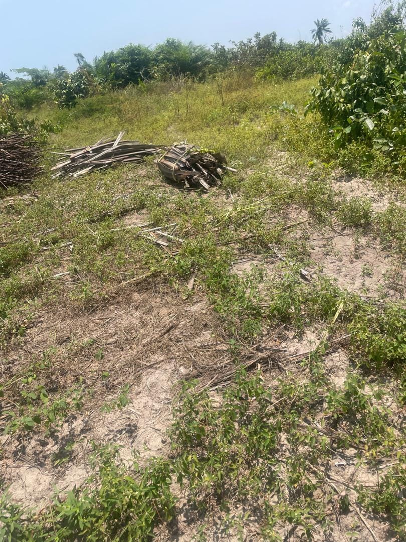 d863a3ee-f5e0-4e1f-89bc-4ade56faa046