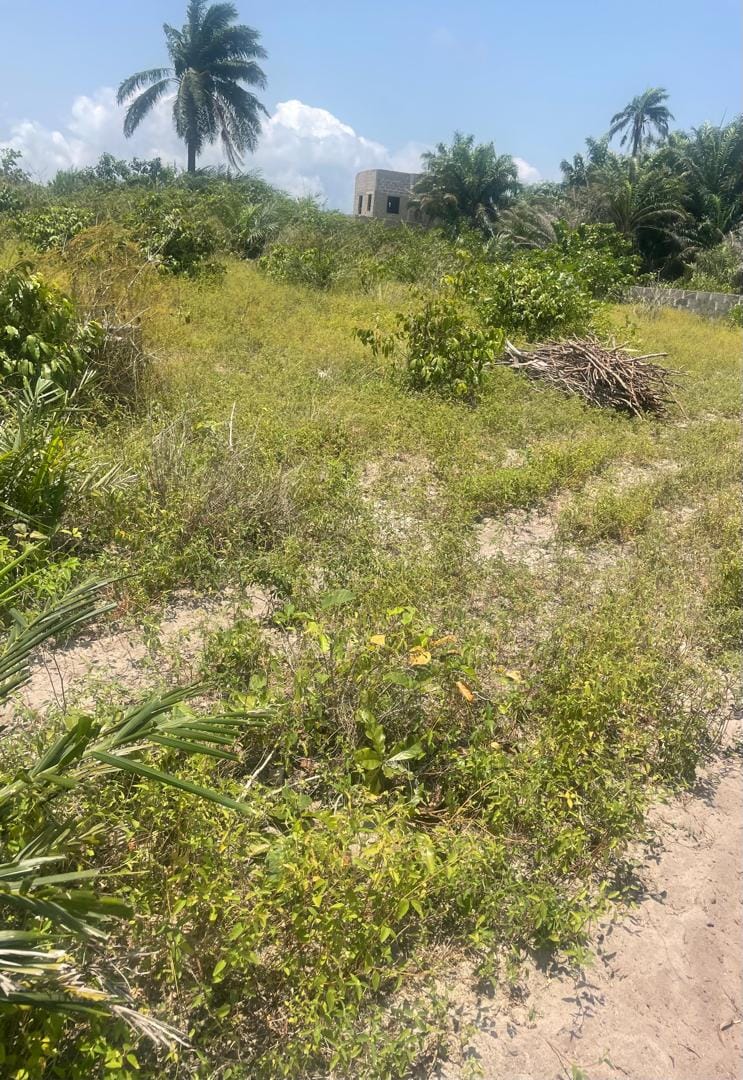 fba84205-734c-4a06-af0a-76343ee68619