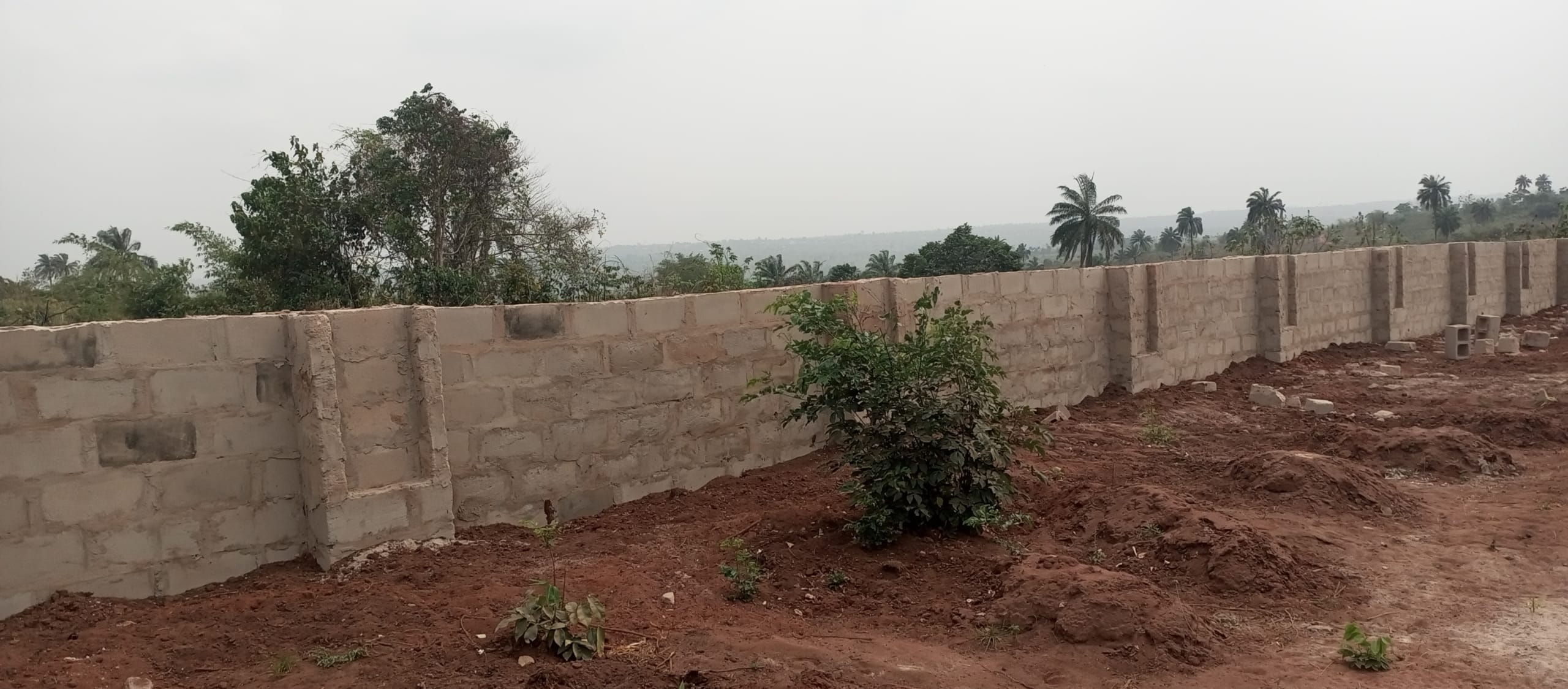 IMG_20250118_142315_344