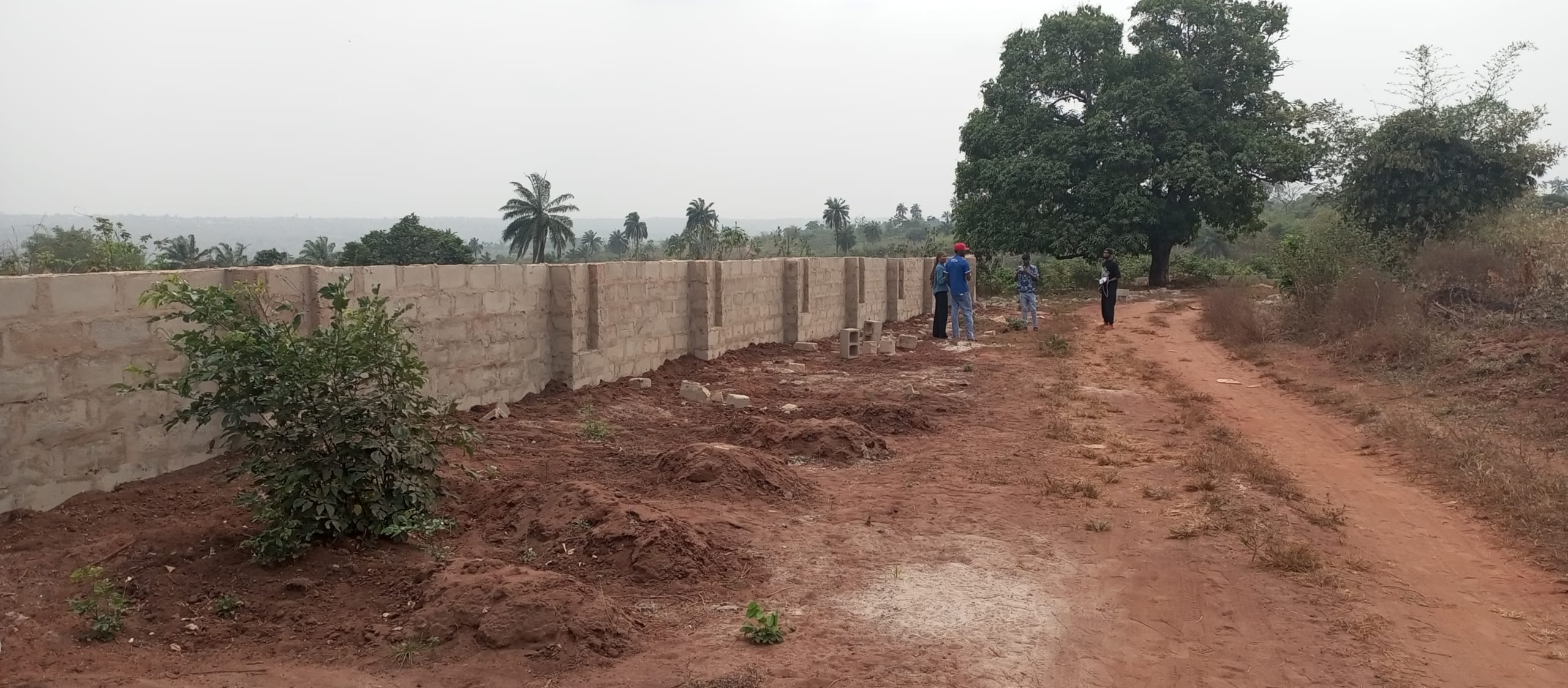 IMG_20250118_142317_466