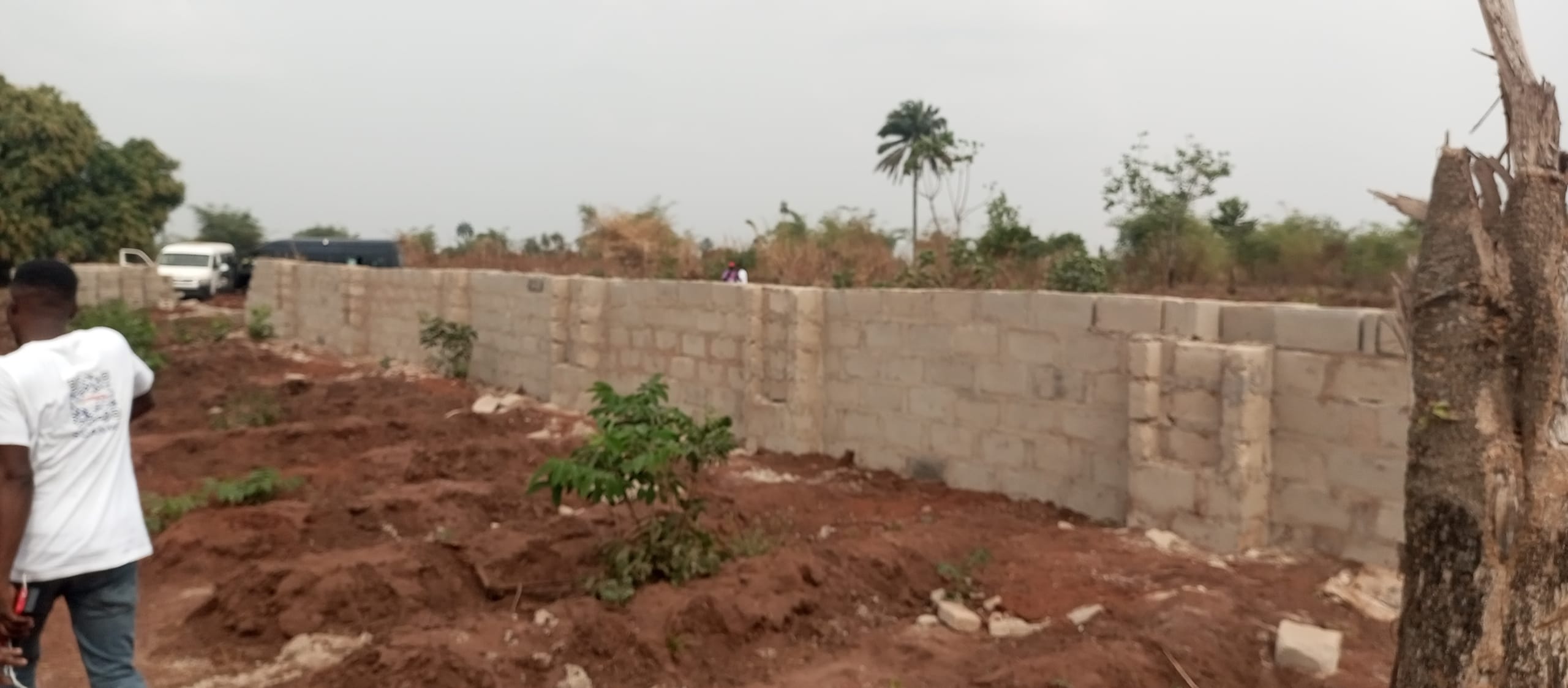 IMG_20250118_142322_187