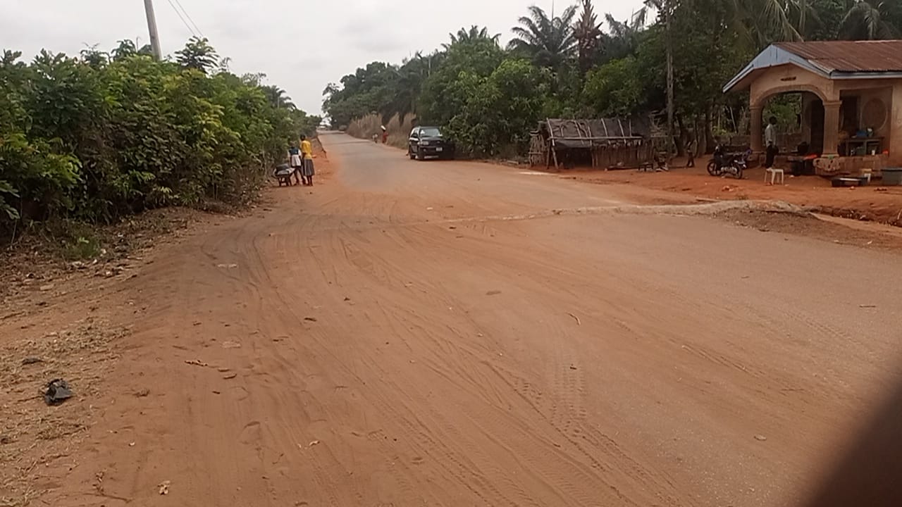 IMG_20250226_095646_1