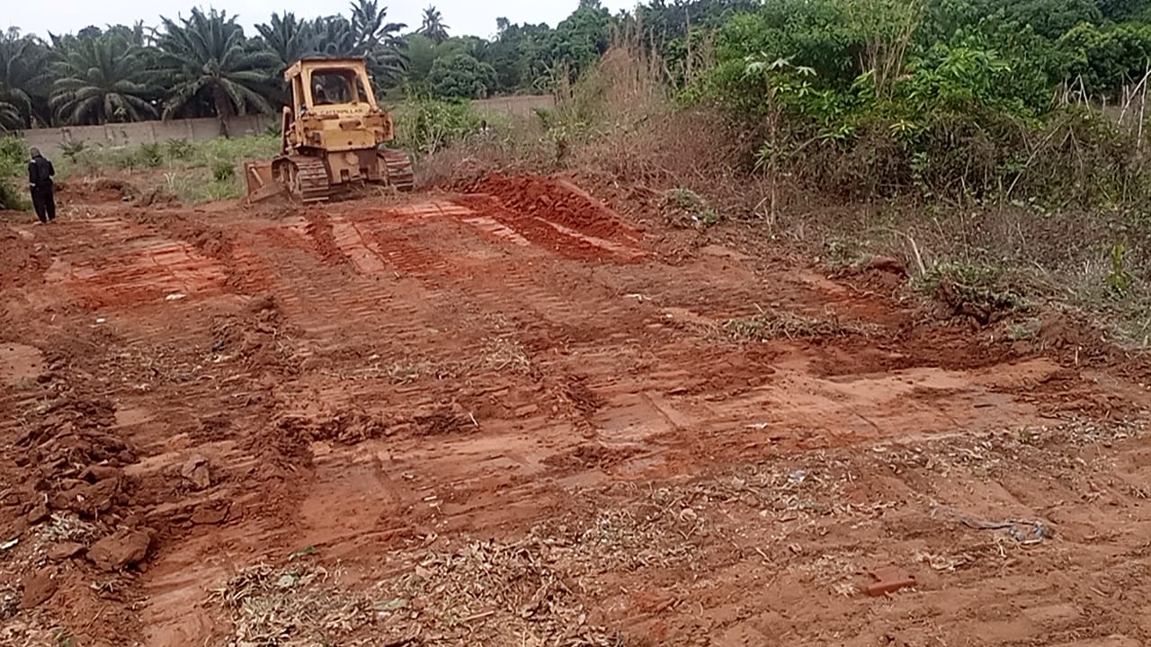 IMG_20250226_101408_0