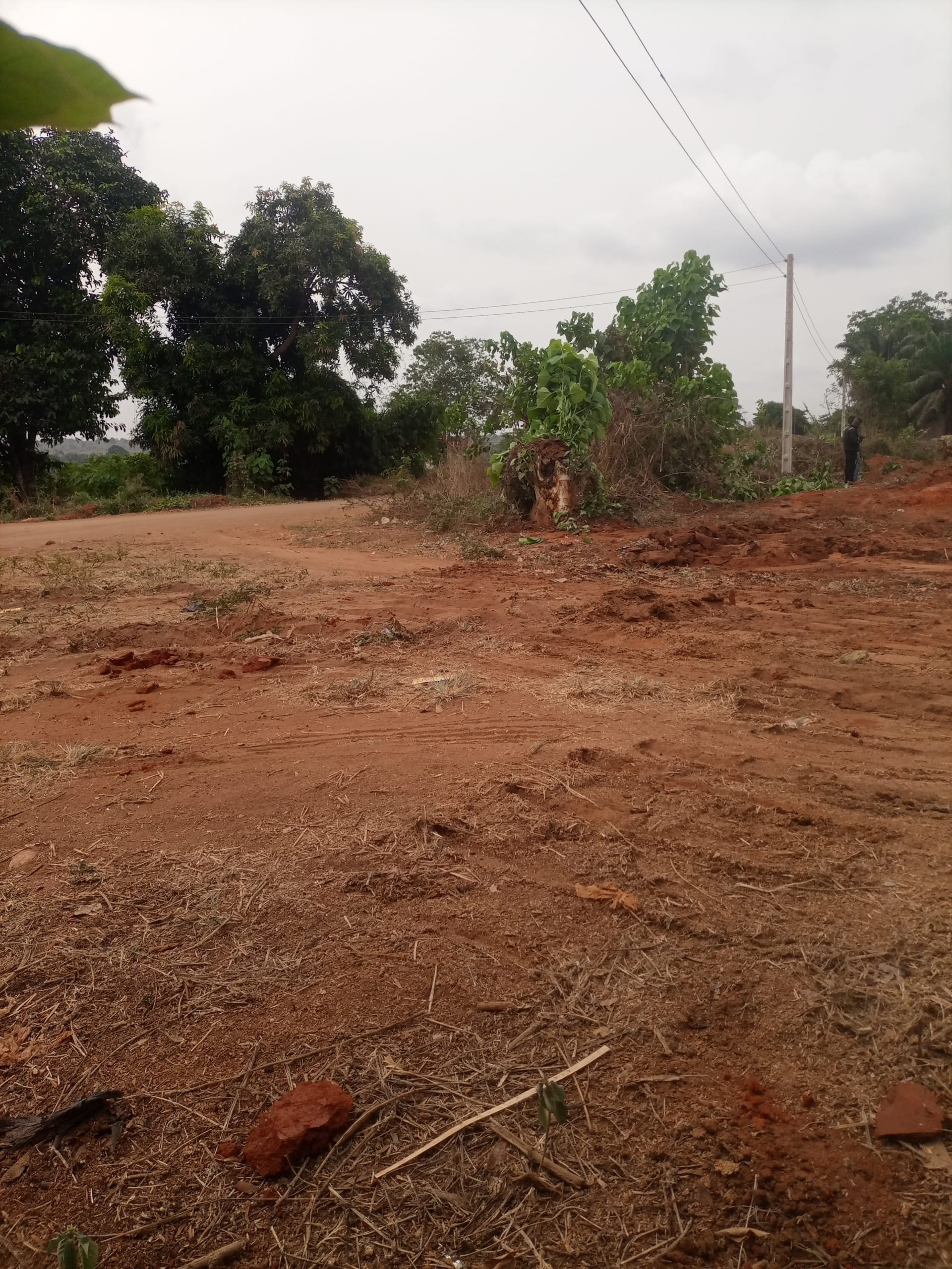 IMG_20250226_101631_920