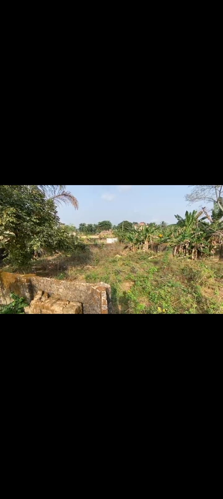 Screenshot_2025-03-05-06-57-52-77_99c04817c0de5652397fc8b56c3b3817