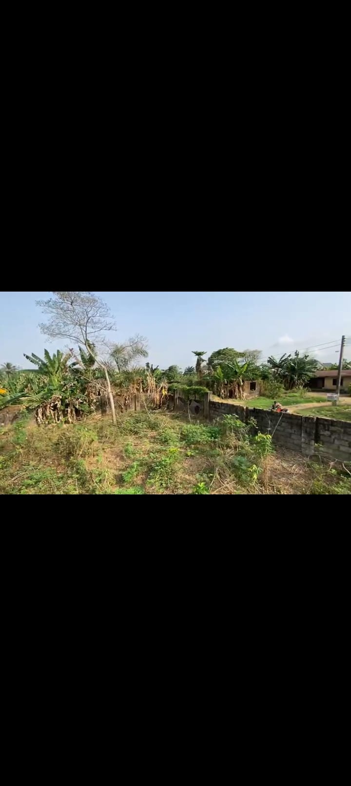 Screenshot_2025-03-05-06-58-05-16_99c04817c0de5652397fc8b56c3b3817