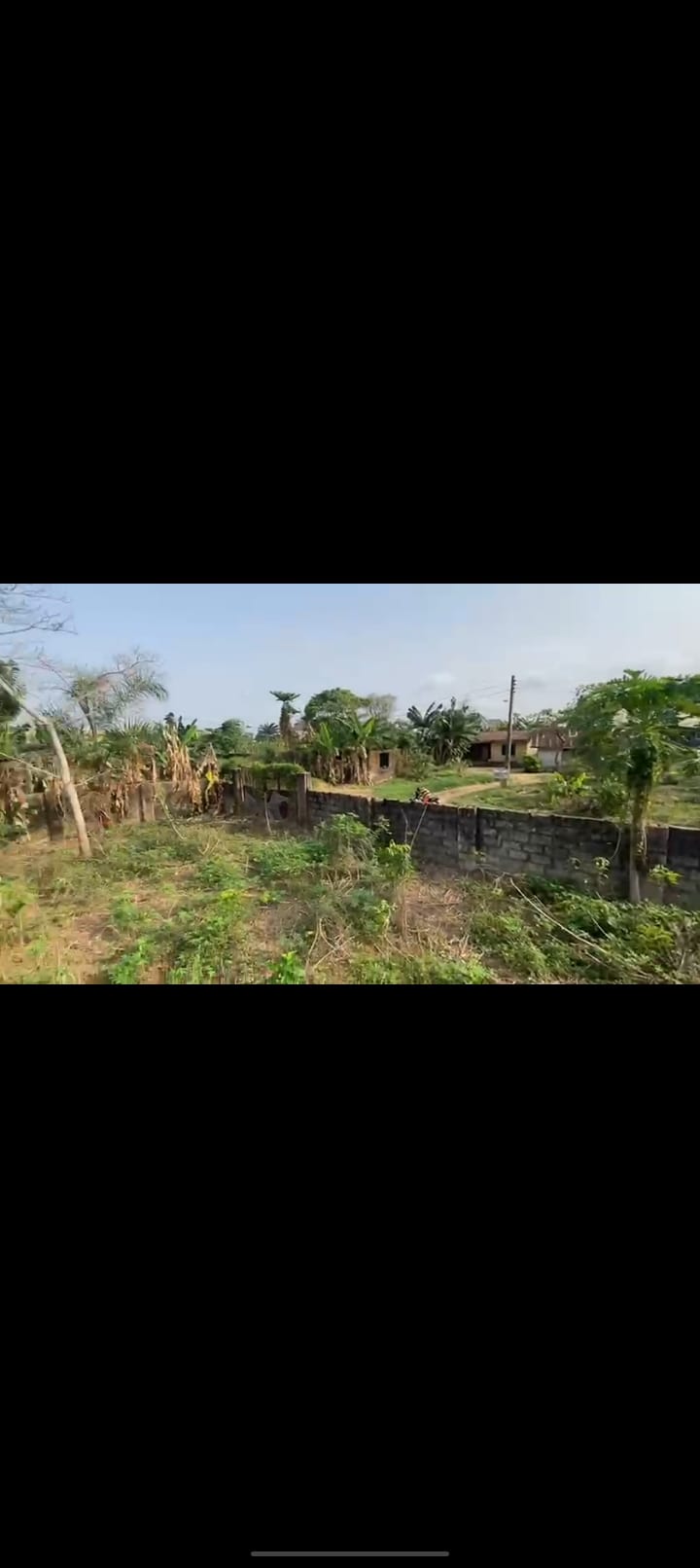 Screenshot_2025-03-05-06-58-11-71_99c04817c0de5652397fc8b56c3b3817