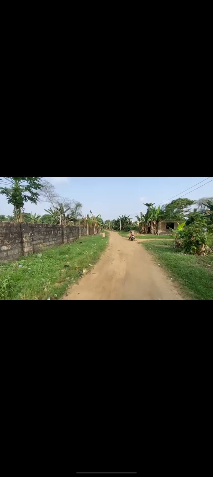 Screenshot_2025-03-05-06-58-16-62_99c04817c0de5652397fc8b56c3b3817