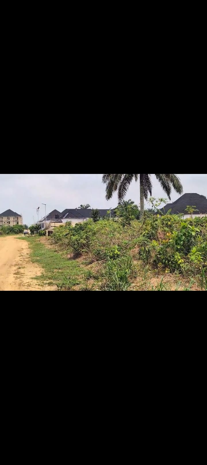 Screenshot_2025-03-06-17-50-25-85_99c04817c0de5652397fc8b56c3b3817