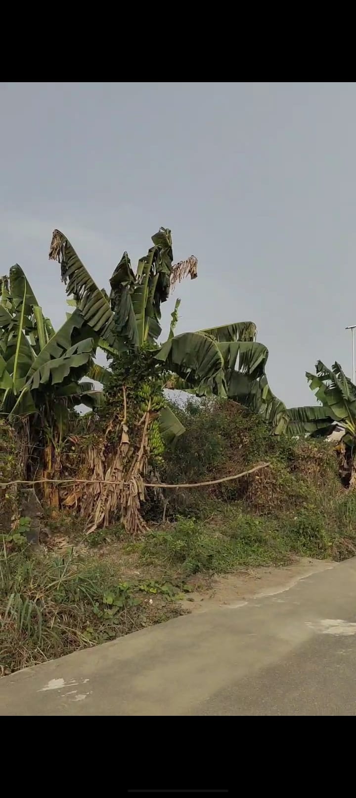 Screenshot_2025-03-10-06-47-13-67_99c04817c0de5652397fc8b56c3b3817