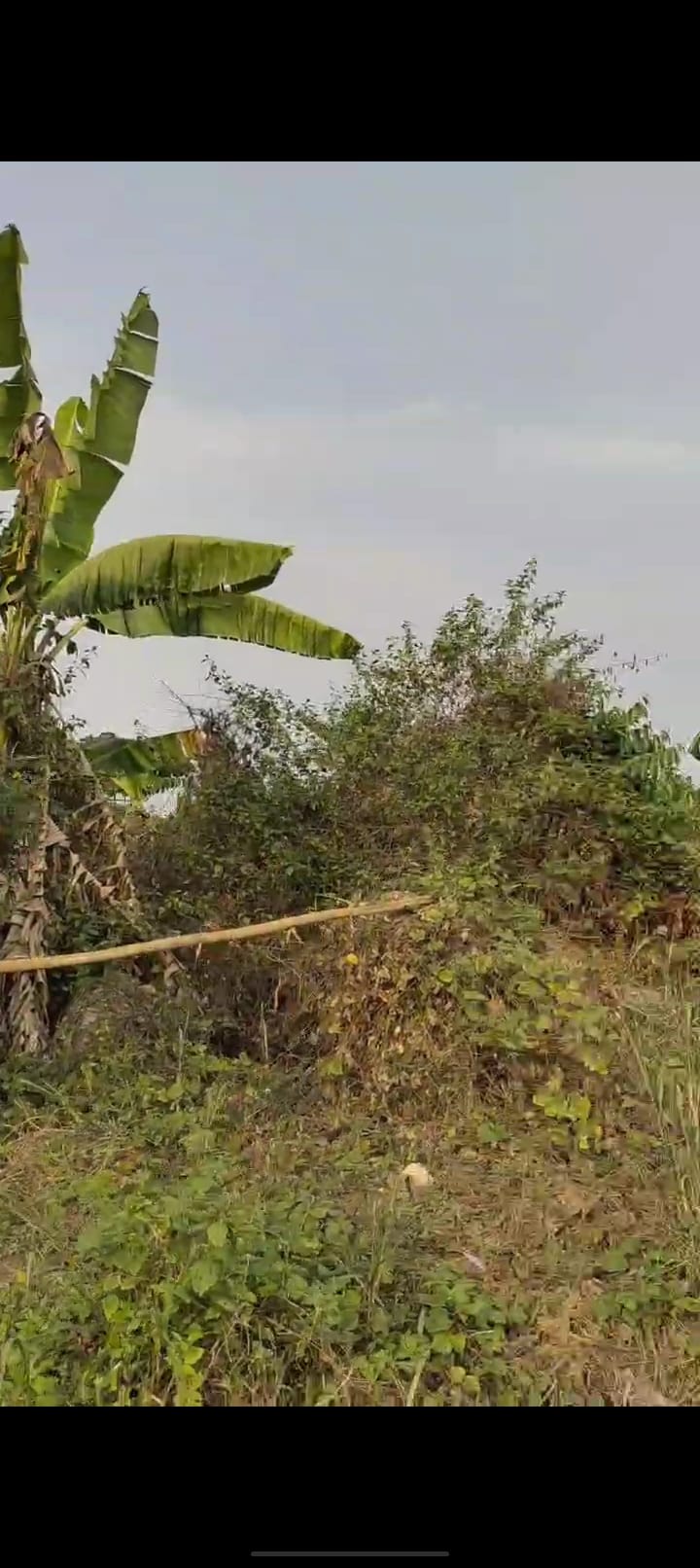 Screenshot_2025-03-10-06-47-21-24_99c04817c0de5652397fc8b56c3b3817