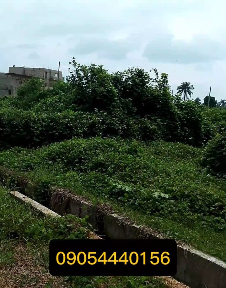 WhatsApp Image 2025-01-20 at 1.01.55 PM (1)