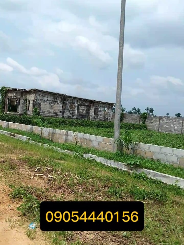 WhatsApp Image 2025-01-20 at 1.01.55 PM