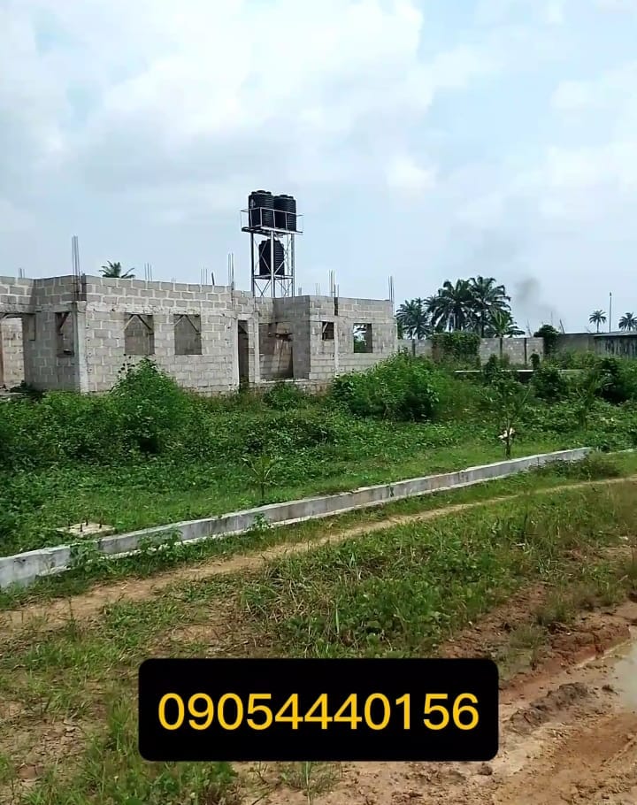 WhatsApp Image 2025-01-20 at 1.01.56 PM (1)