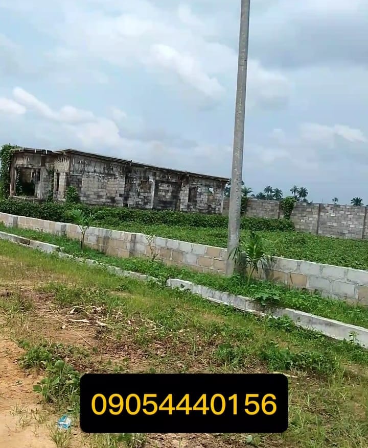 WhatsApp Image 2025-01-20 at 1.01.56 PM