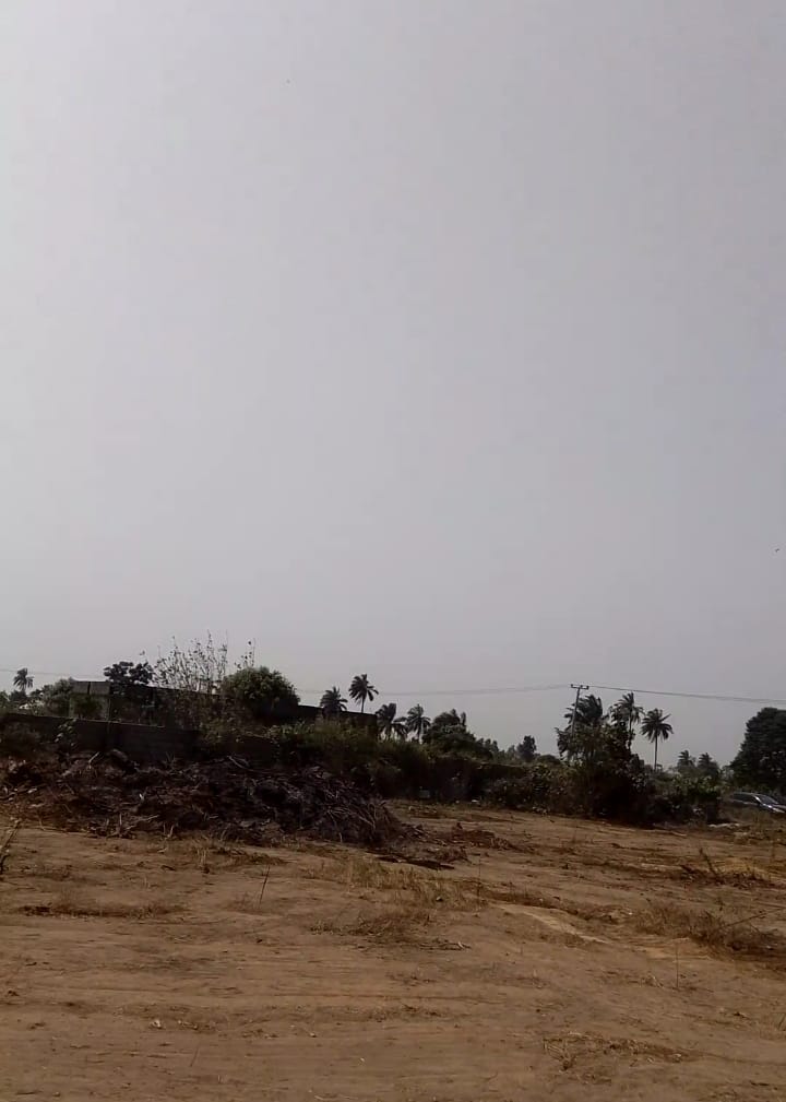 WhatsApp Image 2025-01-20 at 12.54.32 PM (1)