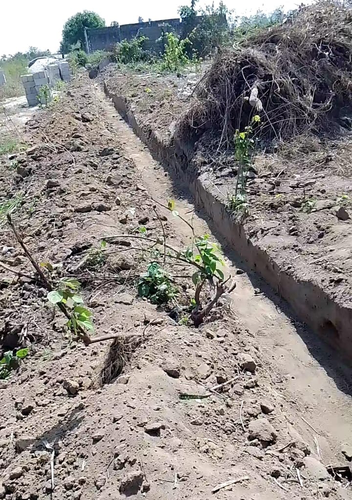 WhatsApp Image 2025-01-20 at 12.54.32 PM