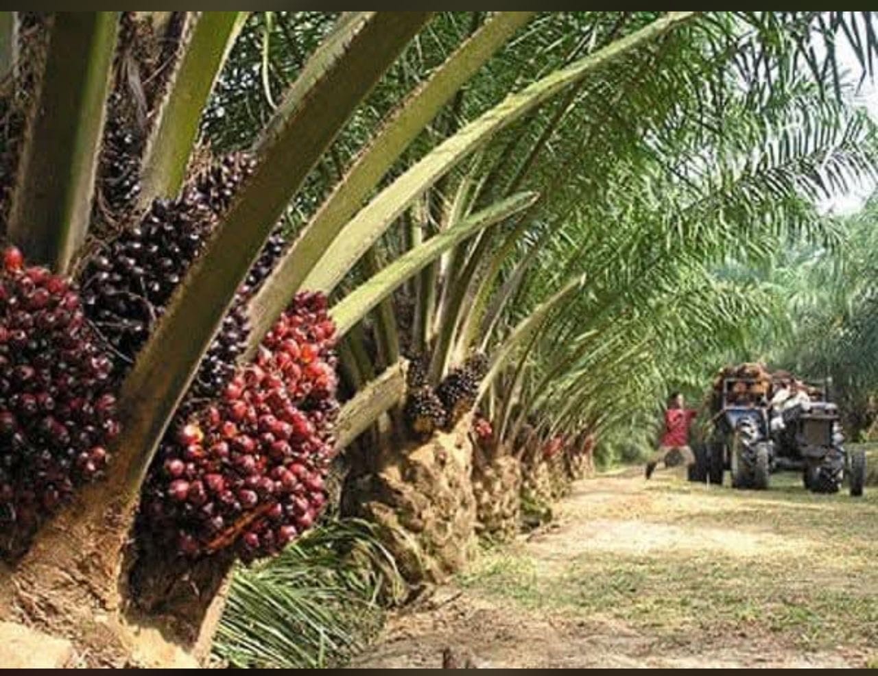 bd784e64-fea1-4f02-a46f-253a86a36411