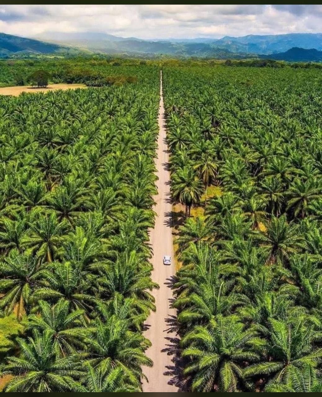 c4dd05d1-2016-48c1-895e-49065a495699