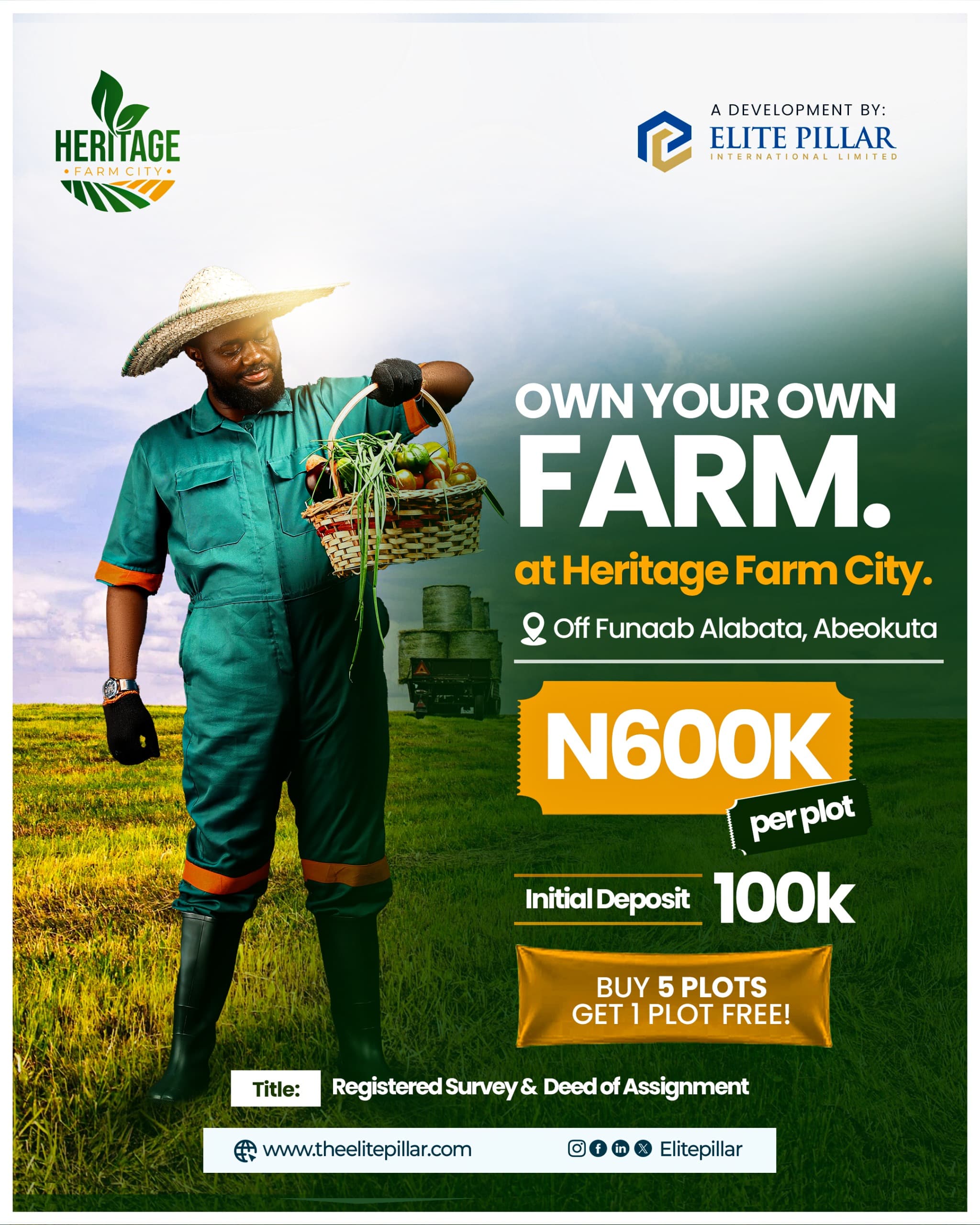 IMG-20250317-WA0006(1)