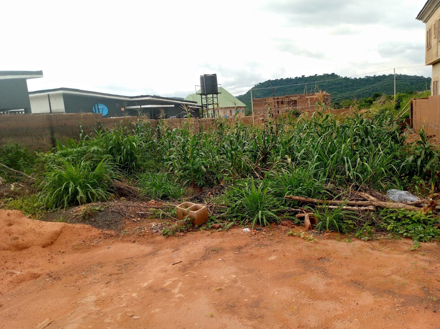 IMG_20240914_145258_813