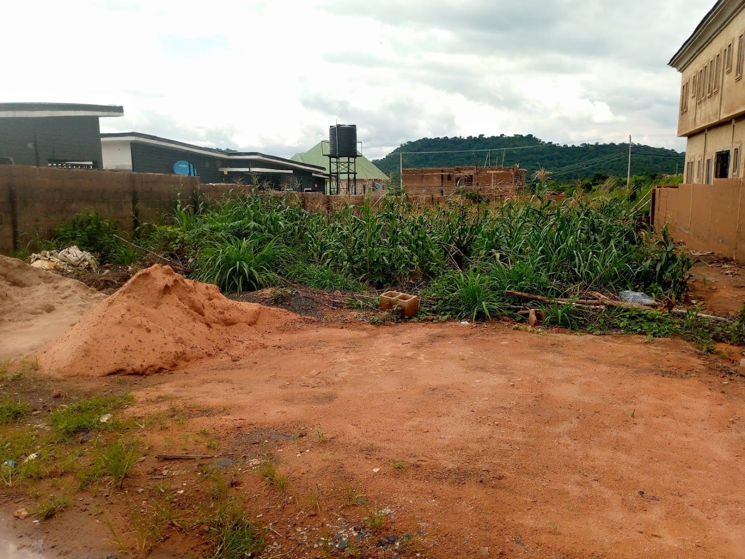 IMG_20240914_145307_888