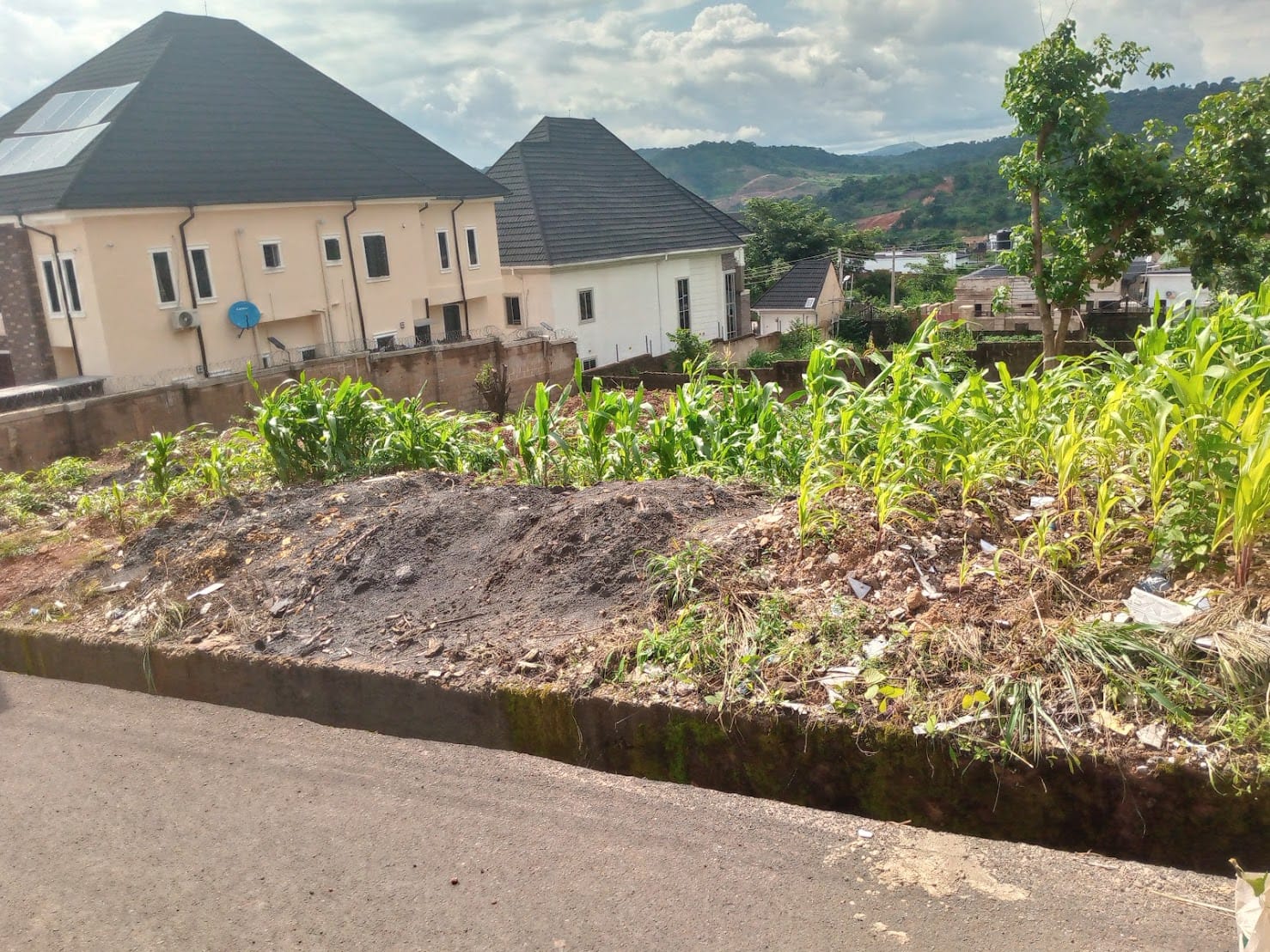 IMG_20240914_145902_535