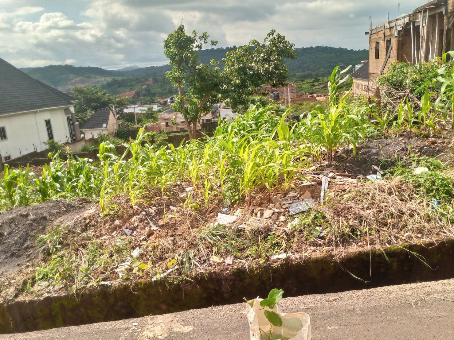 IMG_20240914_145904_760