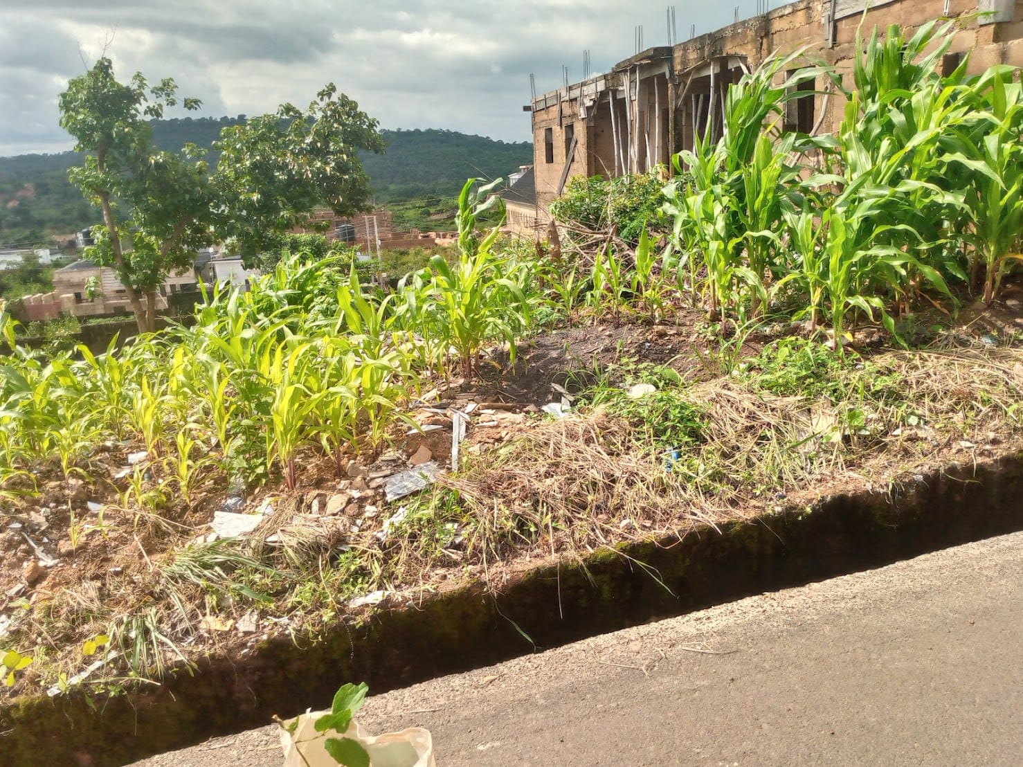 IMG_20240914_145907_291