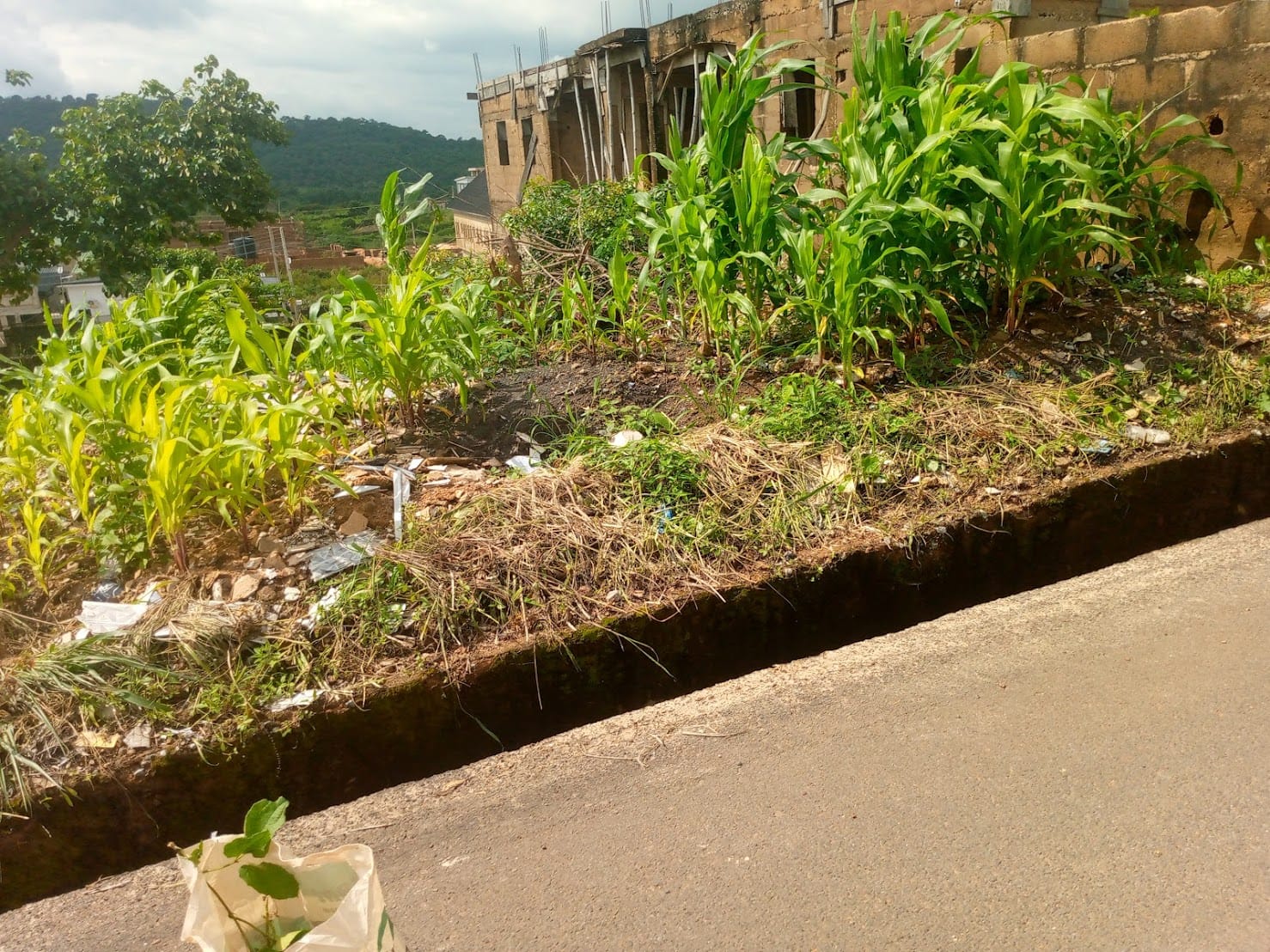 IMG_20240914_145909_510