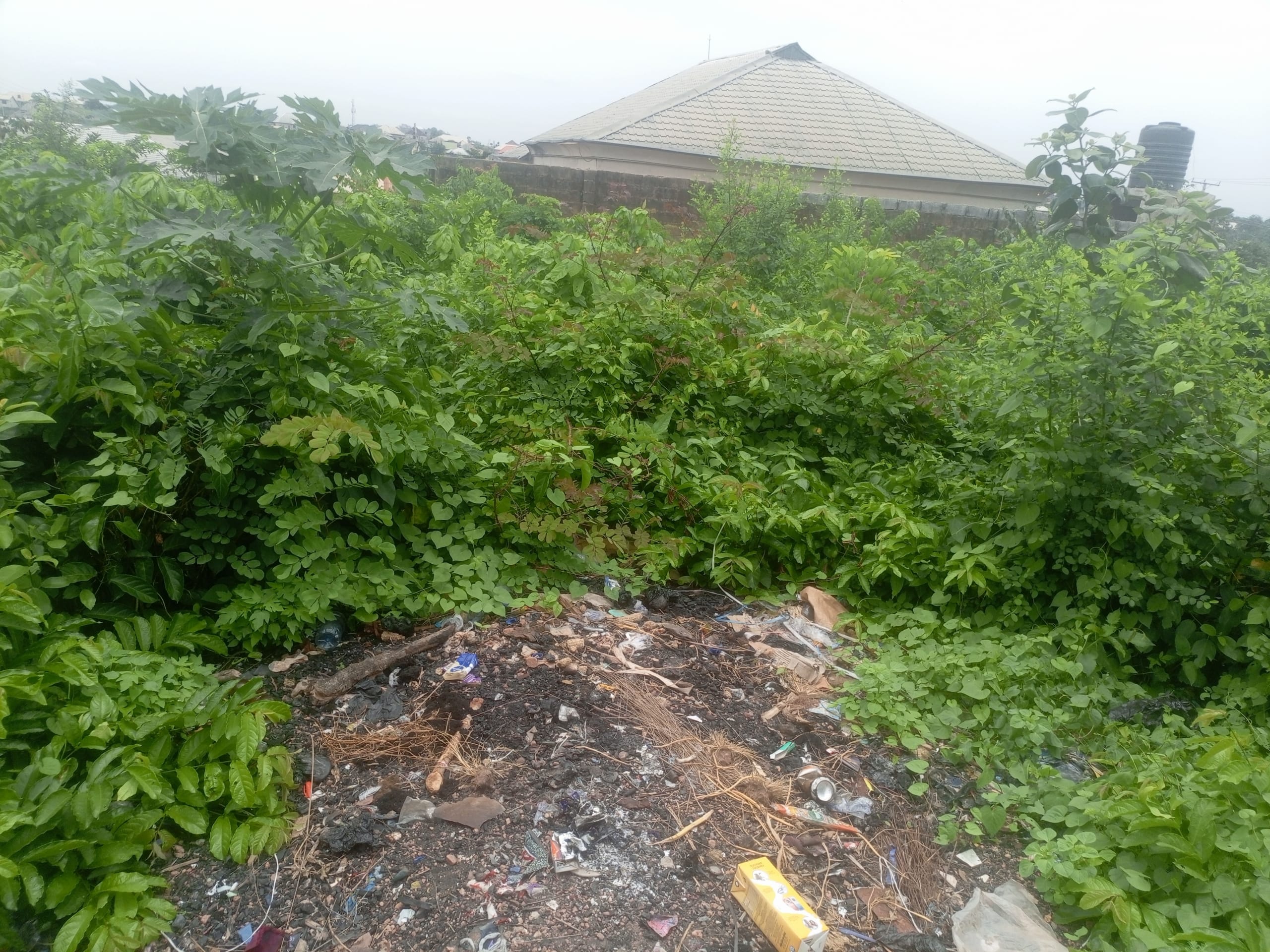 IMG_20250331_125231_756