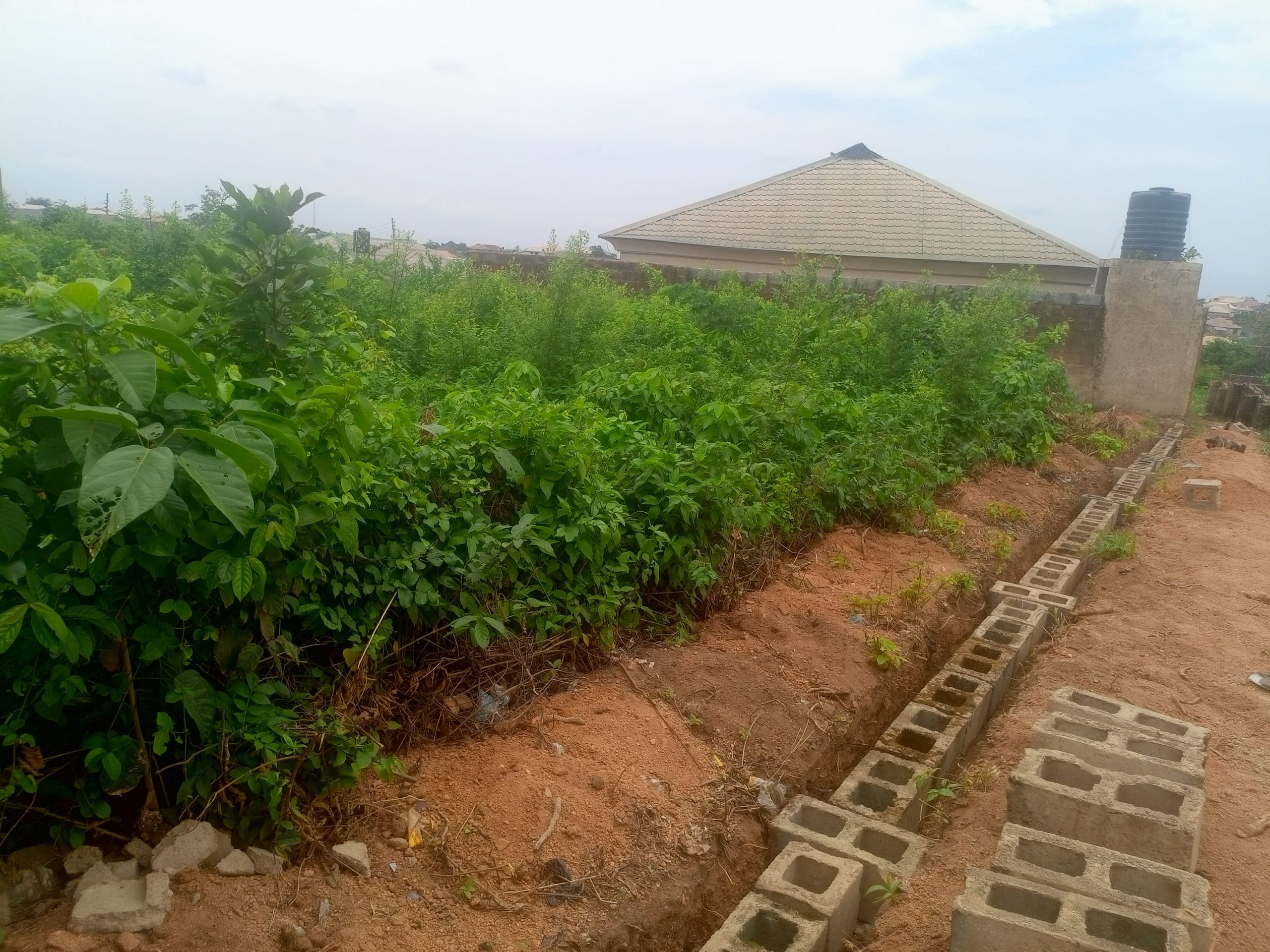 IMG_20250331_125337_820