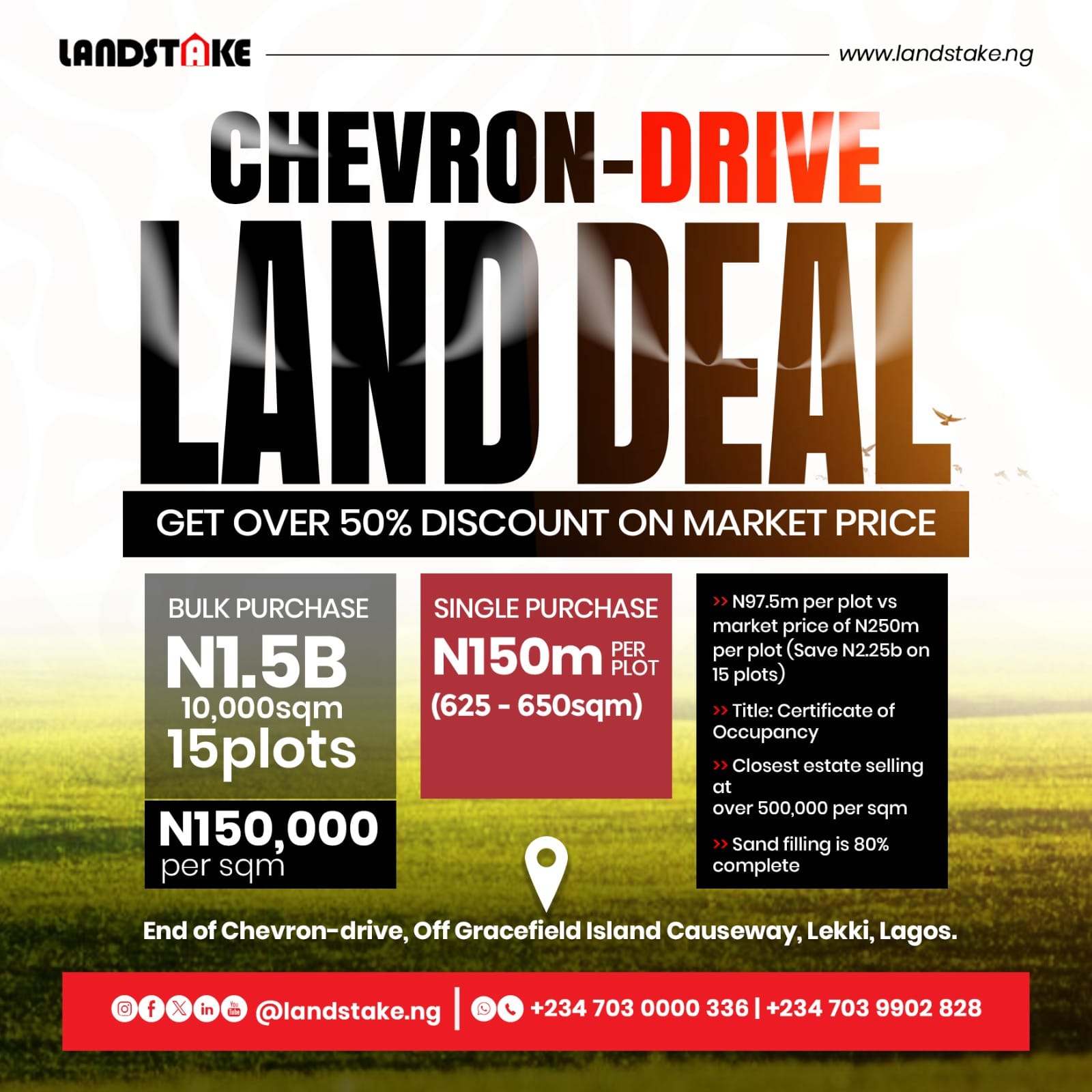 WhatsApp Image 2025-04-11 at 16.42.10