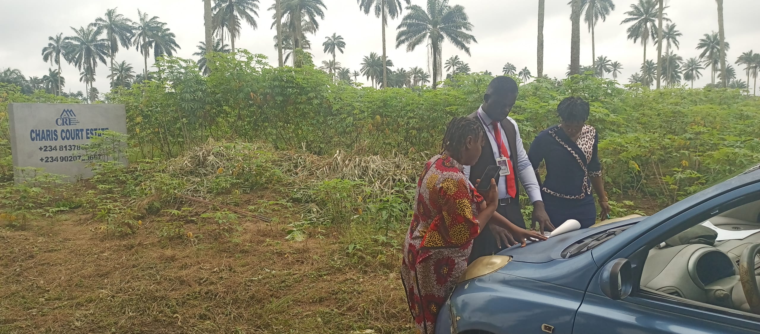 IMG_20241022_111859_652